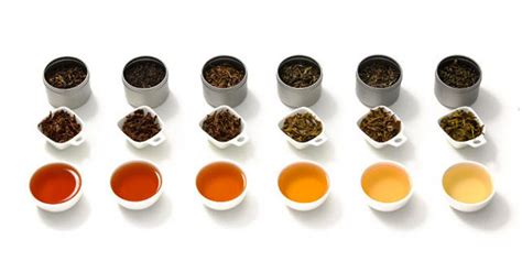 7 Primary Types of Tea In The World Introduction .